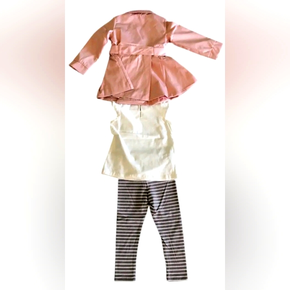NWT/Plastic wrapped 3 pc pink coat/legging/ruffle puppy shirt. Great 4 fall! - Picture 5 of 5
